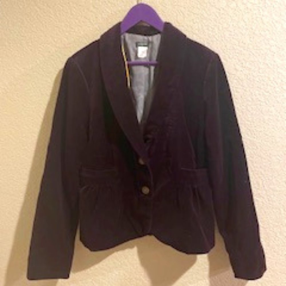 Deep Purple Vlevet Blazer